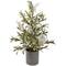 24&#x22; Potted Green and White Berry Christmas Artificial Plant with Glitter Frost